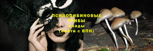 MDMA Premium VHQ Медвежьегорск