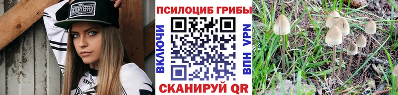 Галлюциногенные грибы мухоморы  купить наркотики цена  Тимашёвск 